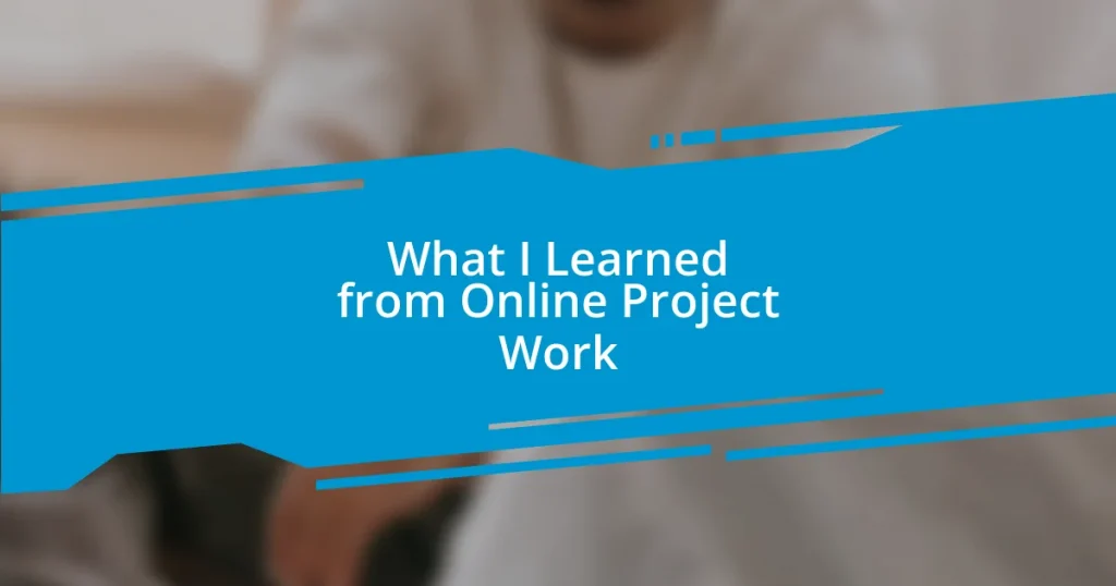 What I Learned from Online Project Work